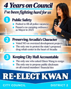 4 Years on Council flyer